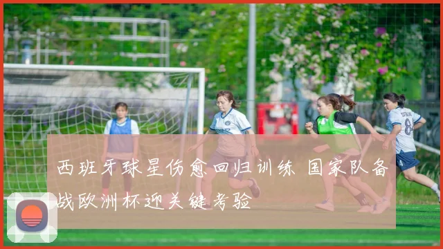西班牙球星伤愈回归训练 国家队备战欧洲杯迎关键考验